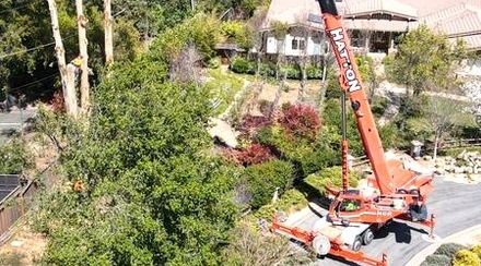 An aerial view of a crane cutting a tree in front of a house.