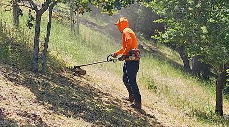 A man is using a lawn mower to cut grass on a hillside.