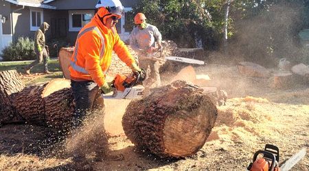 A man is cutting a large log with a chainsaw.