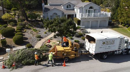An aerial view of a tree being chopped down in front of a house.