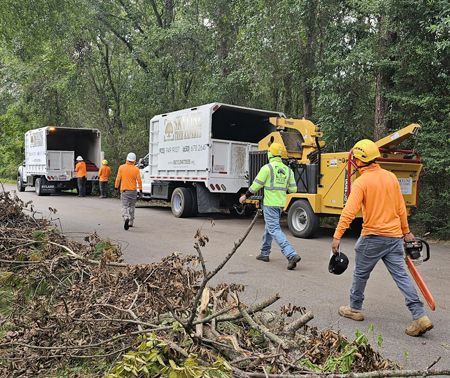 A group of men are walking down a road next to a tree chipper.