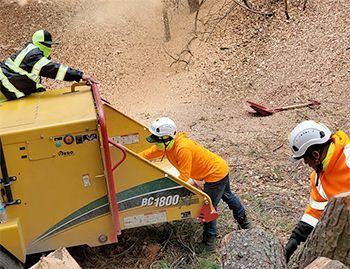 A group of people are working on a machine in the woods.