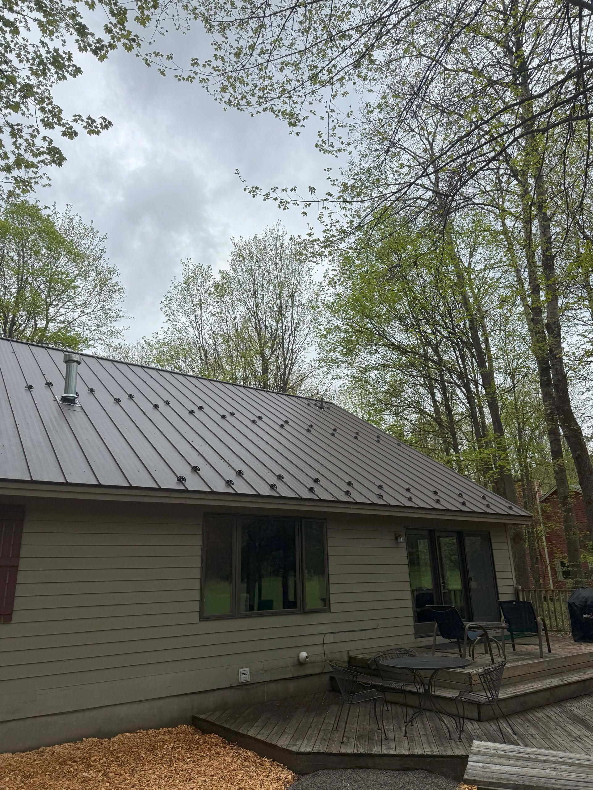 A house with a metal roof is surrounded by trees on a cloudy day.