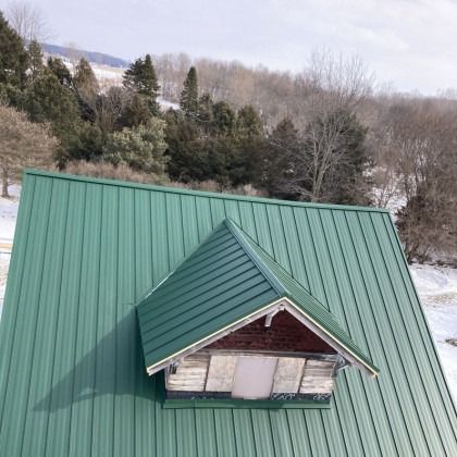 Green metal roof with a smaller dormer on a snowy hillside.