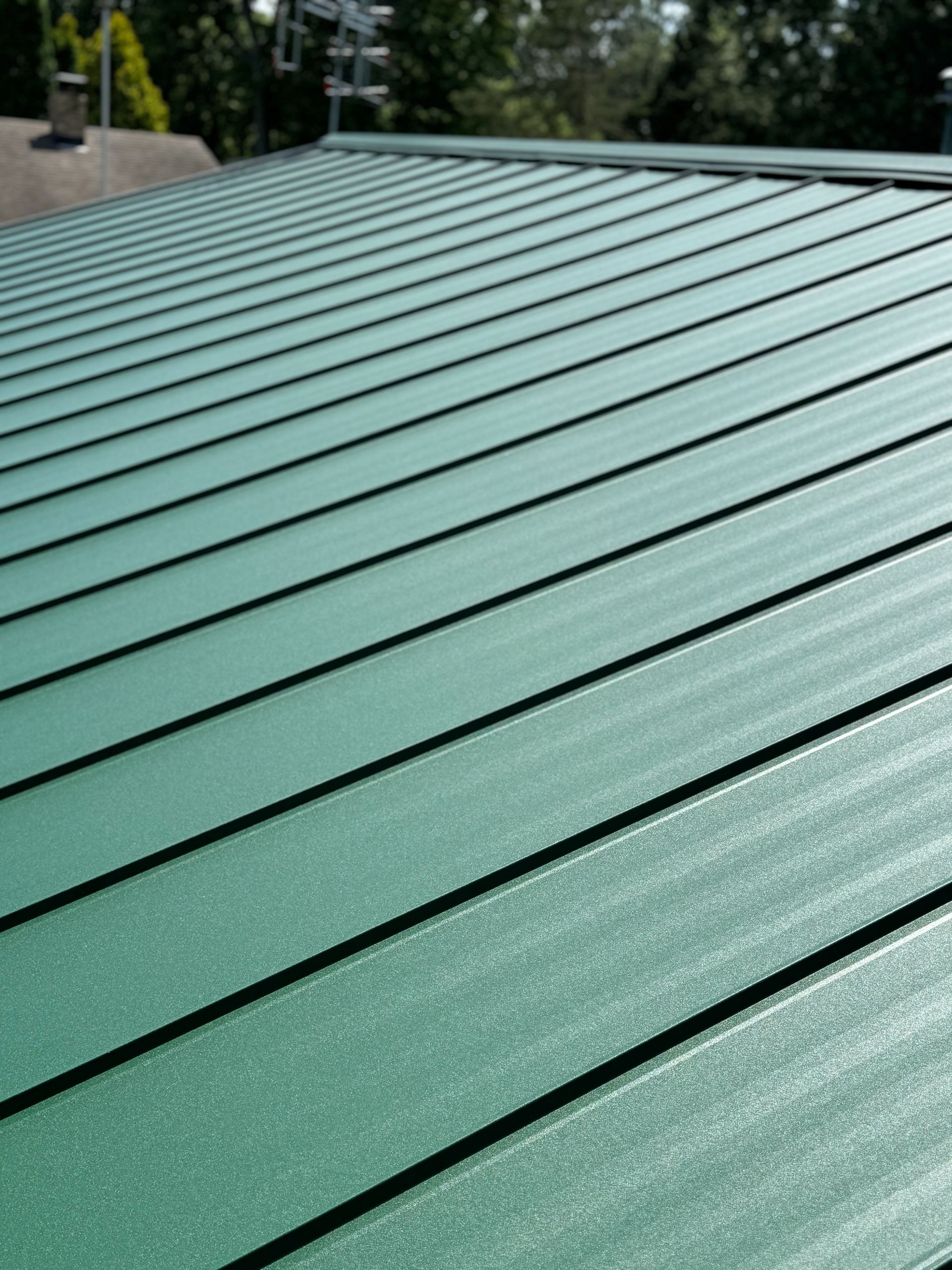 Green metal roof with horizontal lines, likely on a residential building.