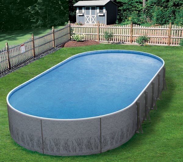 A large oval swimming pool in a backyard with a shed in the background