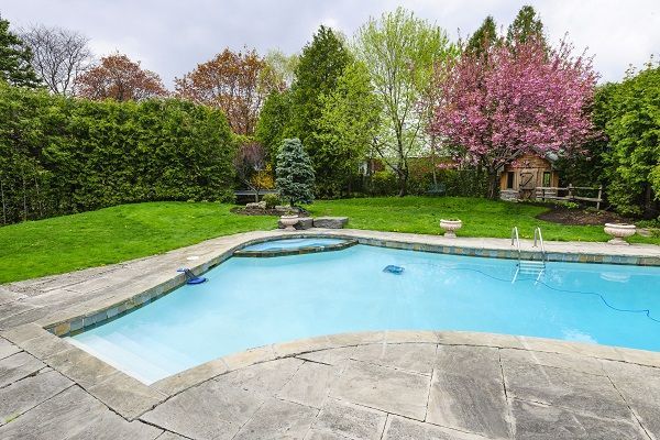 A large swimming pool in a backyard surrounded by trees and bushes.