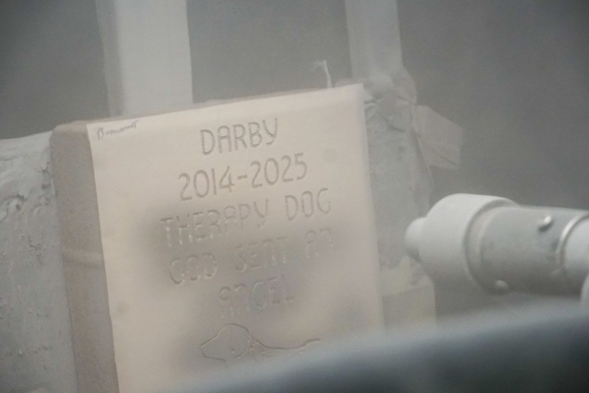 Gravestone for Darby the therapy dog. 2014-2025. Letters appear light gray in a dusty setting.