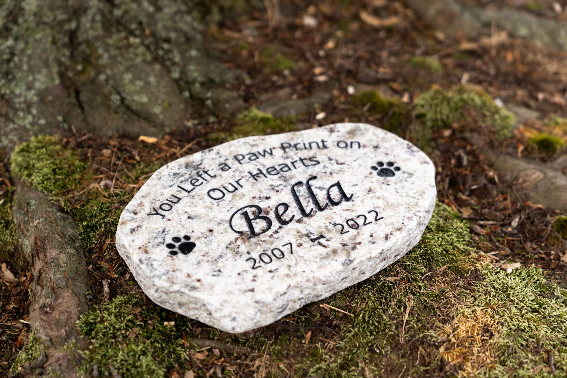 A stone memorial for a dog named Bella, with the inscription 