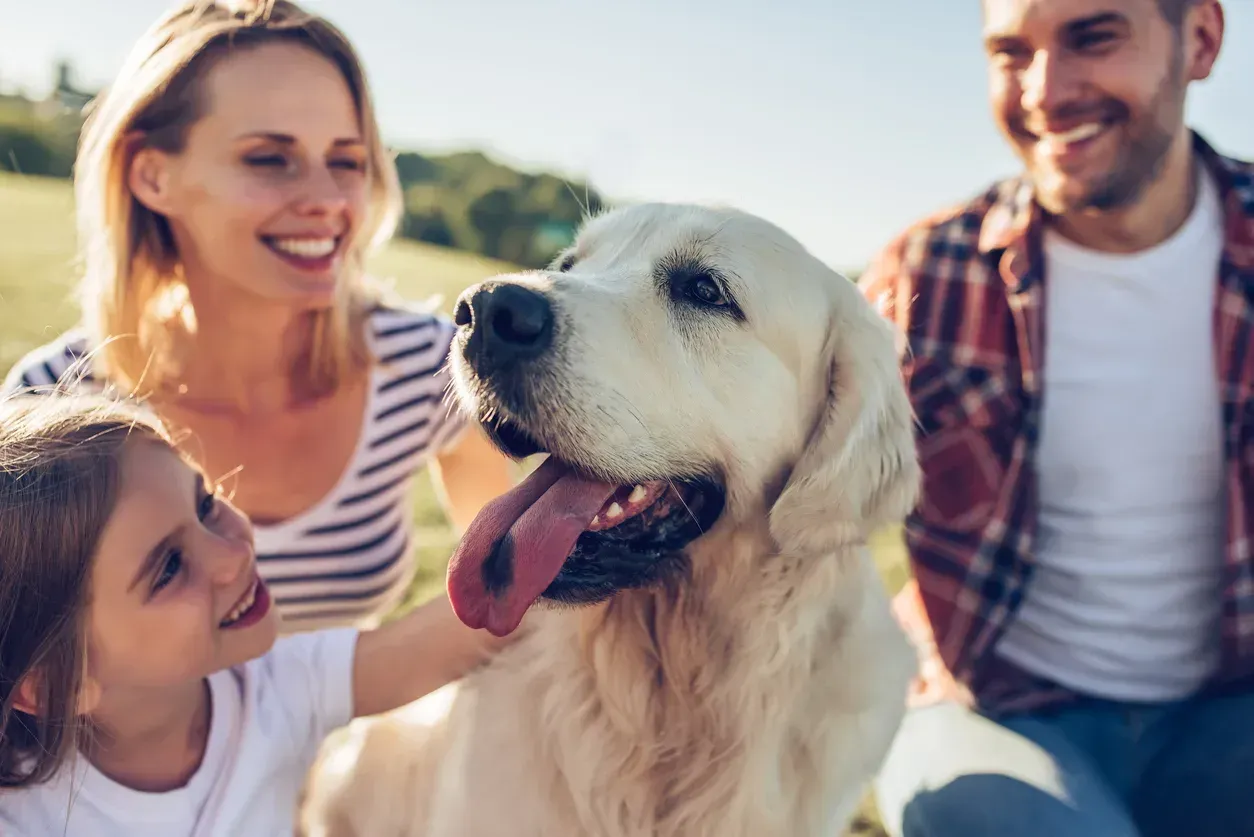Family, including child, petting Golden Retriever in a sunny field.