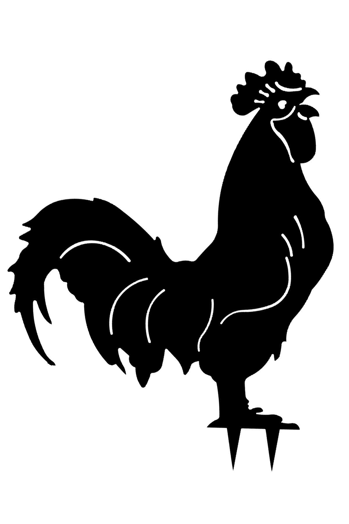 Rooster