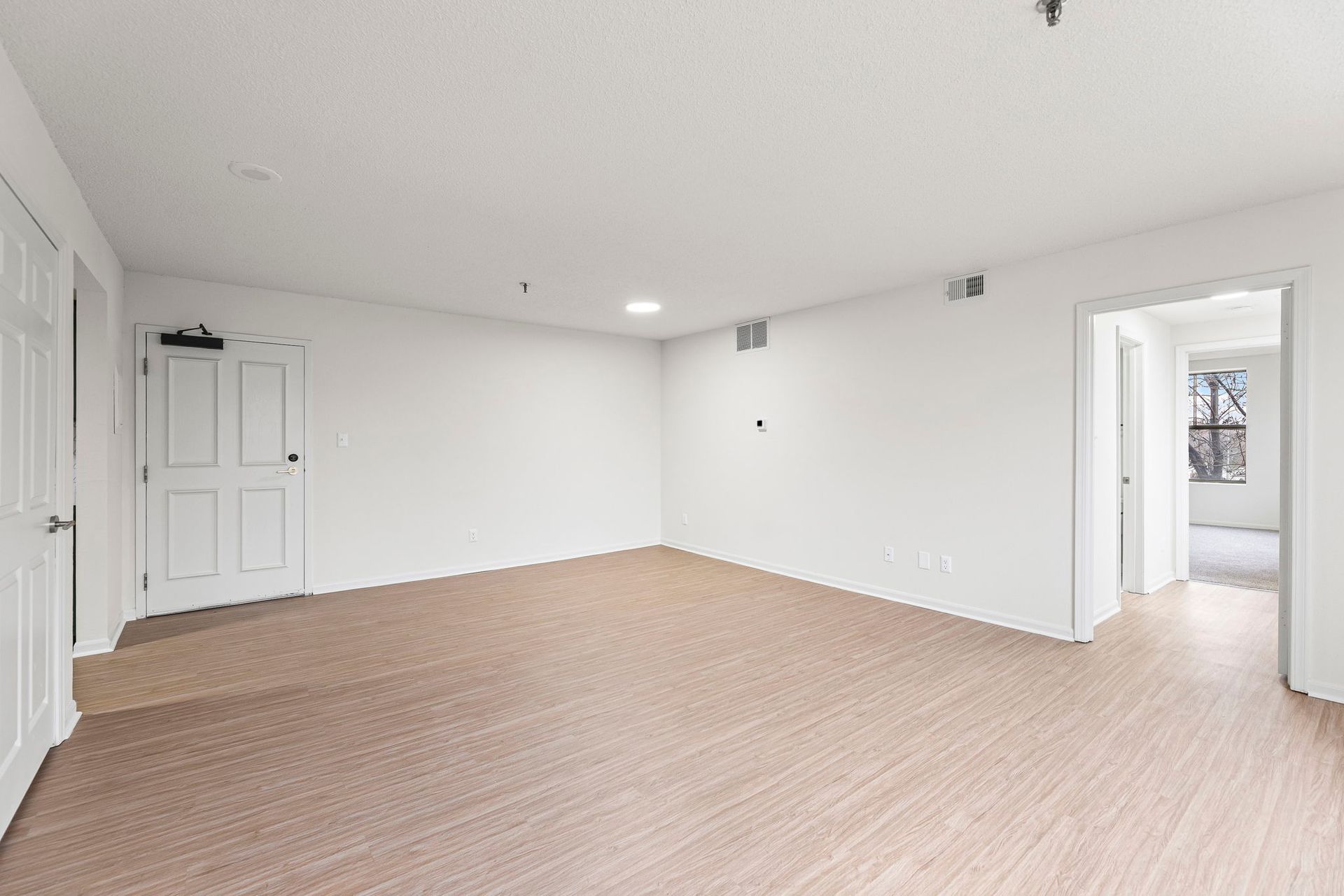 Renovated apartment showcasing bright and airy spaces