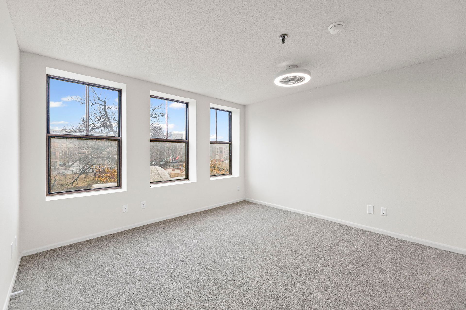 Renovated apartment with stylish, modern finishes