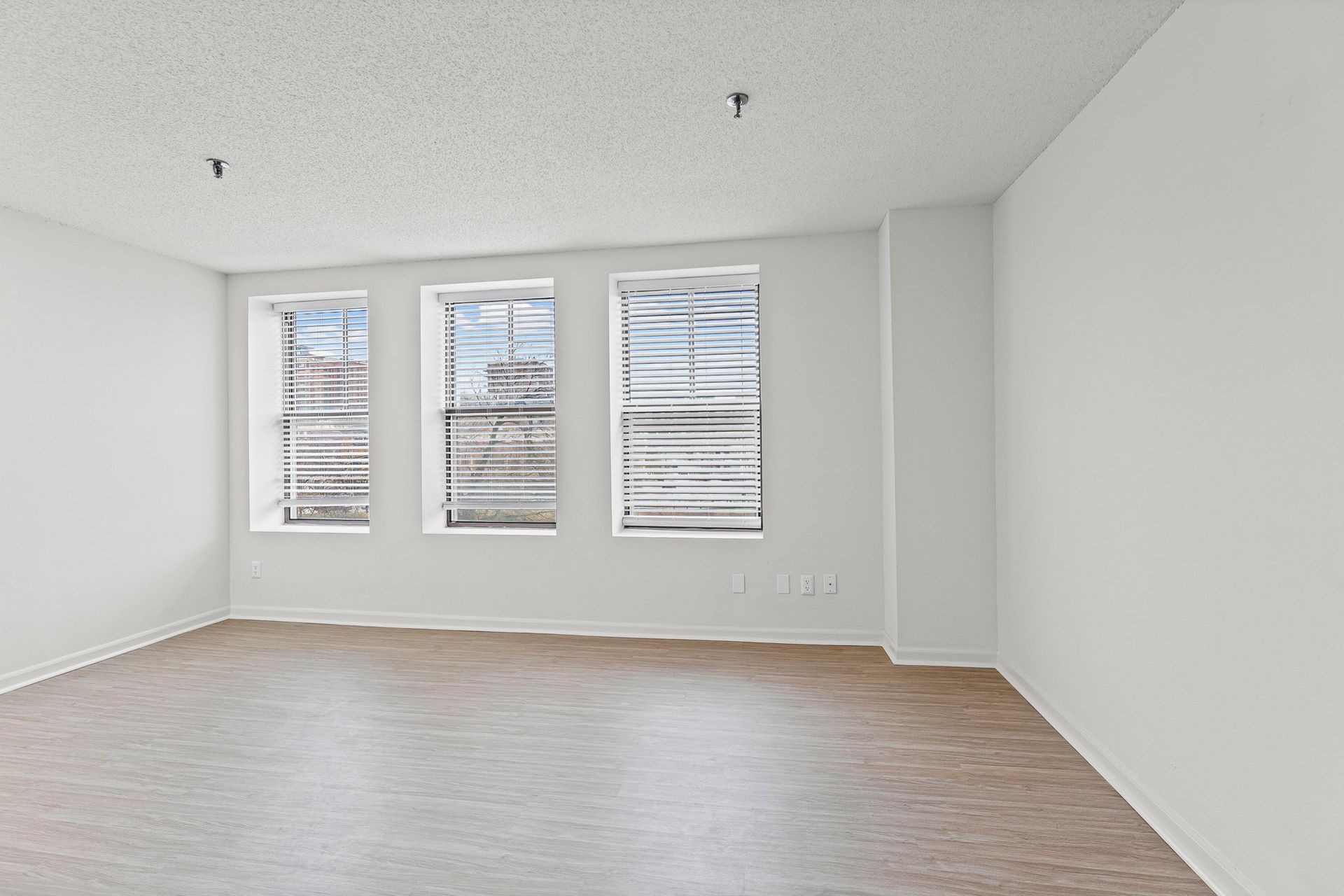 Newly renovated apartment with contemporary lighting