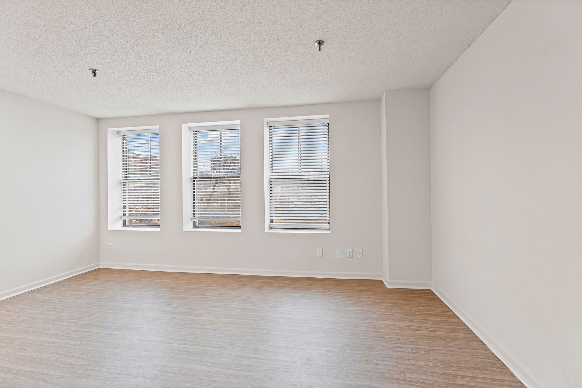 Renovated interior preserving The Majestic’s classic character