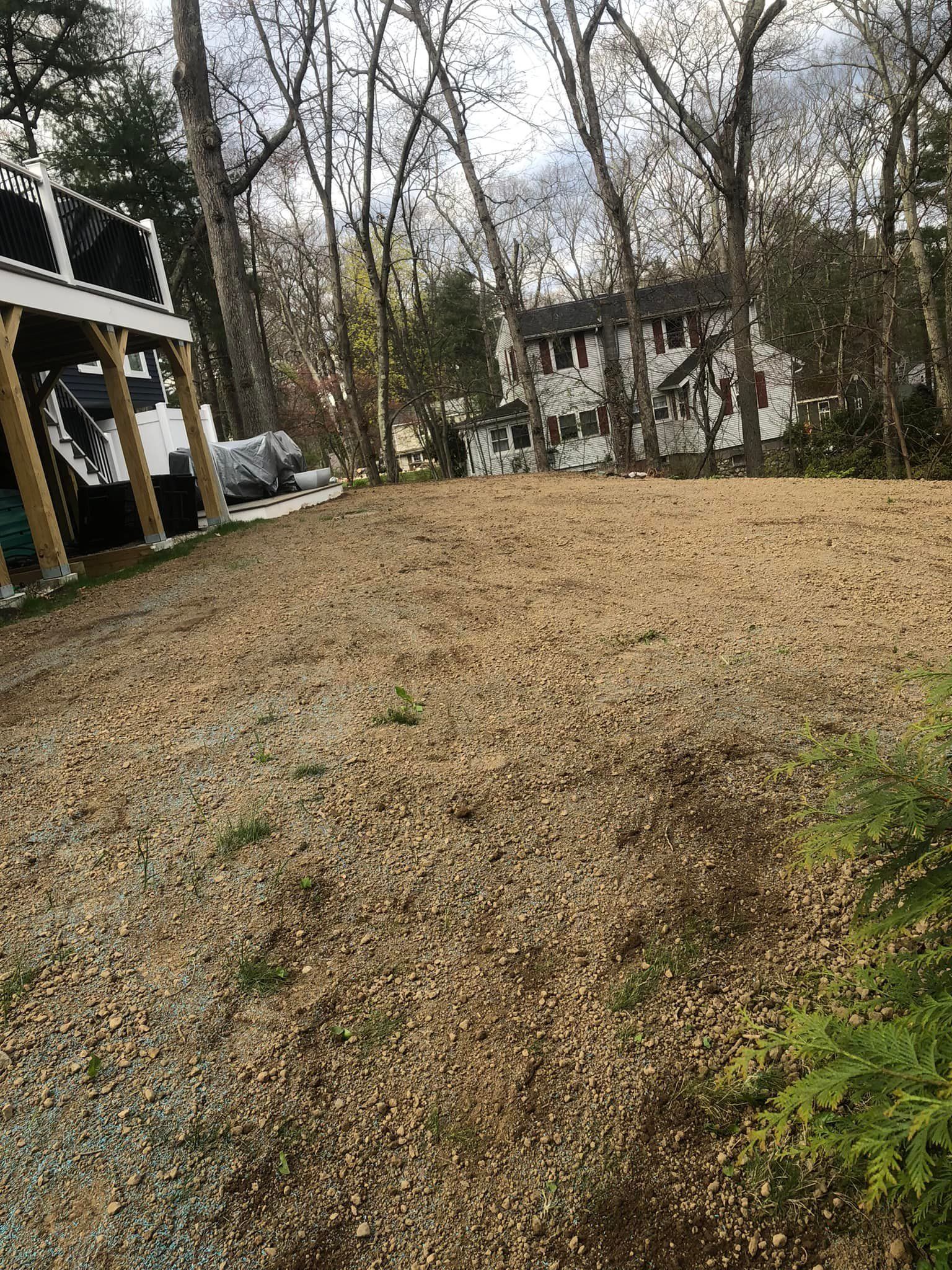 There is a house in the background and a lot of leaves on the ground.