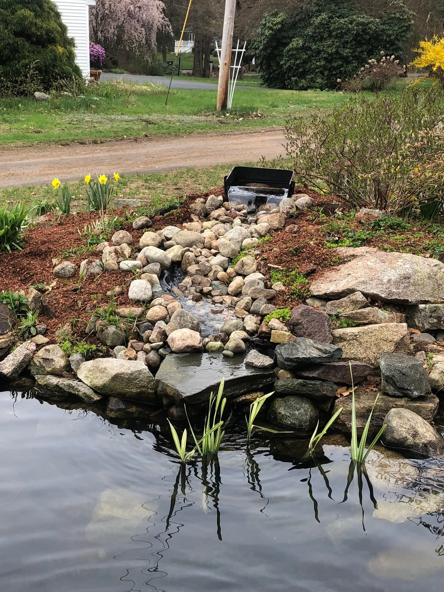 A pond surrounded by rocks and plants in a garden.