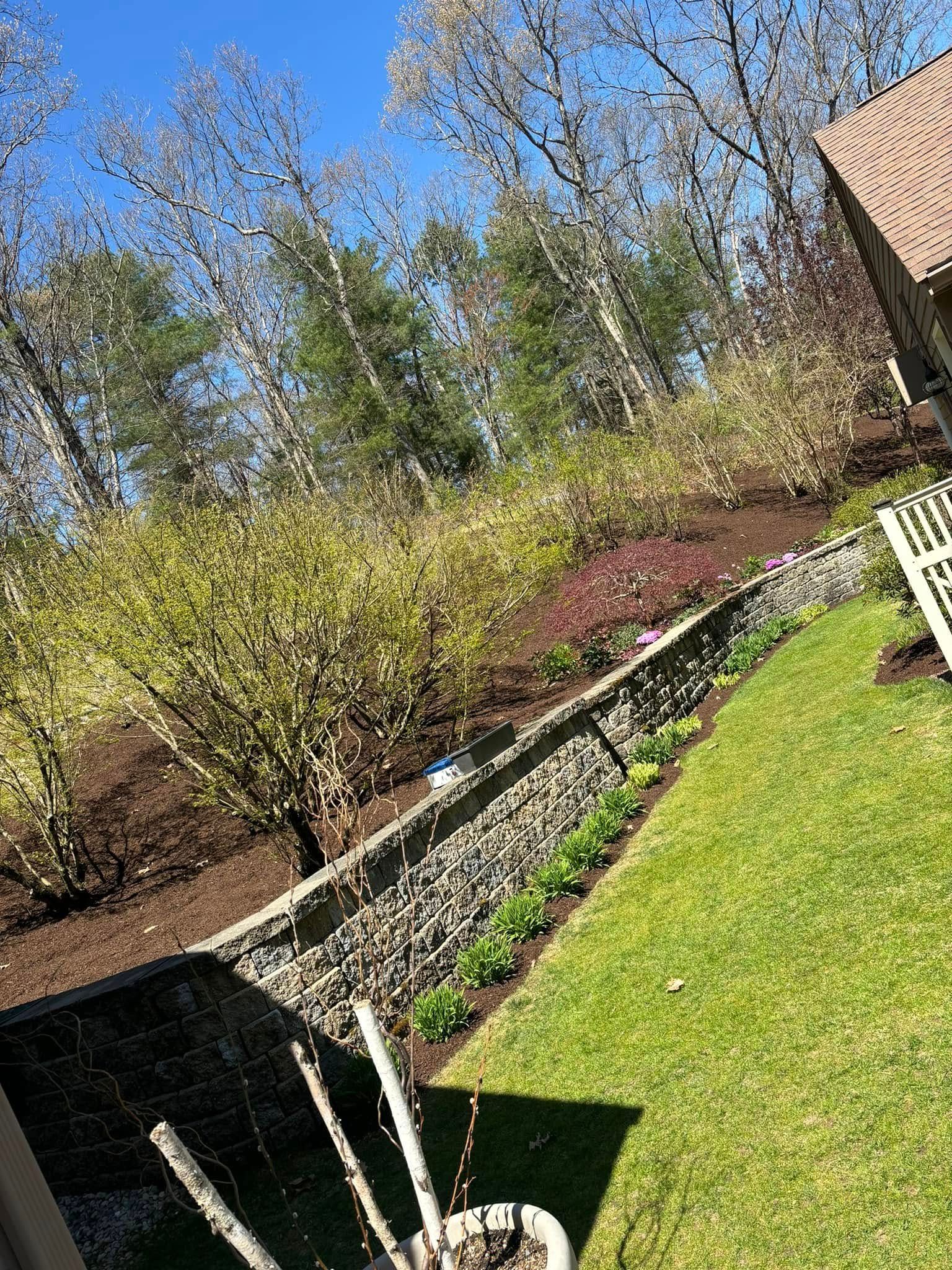 A lush green yard with a stone wall and trees in the background.