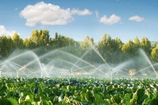 Irrigation System - Water Utility Companies in Deale, Maryland