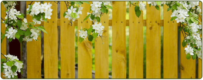 fencing garden - Bolton, Lancashire - Complete Fencing - fencing garden