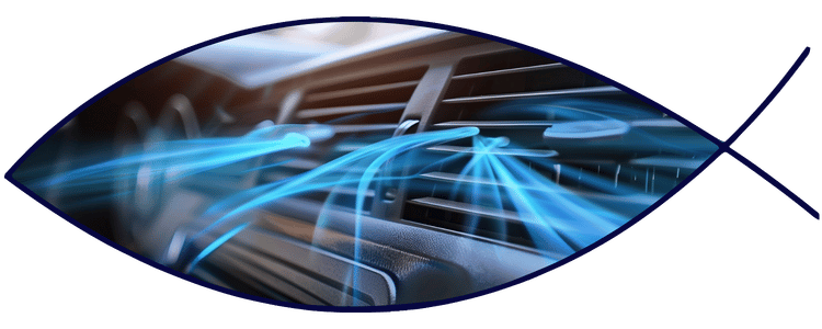 Blue car-shaped keychains displayed on the front desk, with a BMW mug and a Christian fish symbol sign in the background.