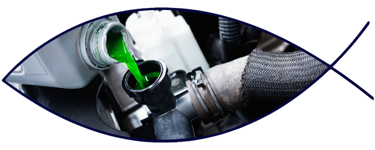 Blue car-shaped keychains displayed on the front desk, with a BMW mug and a Christian fish symbol sign in the background.