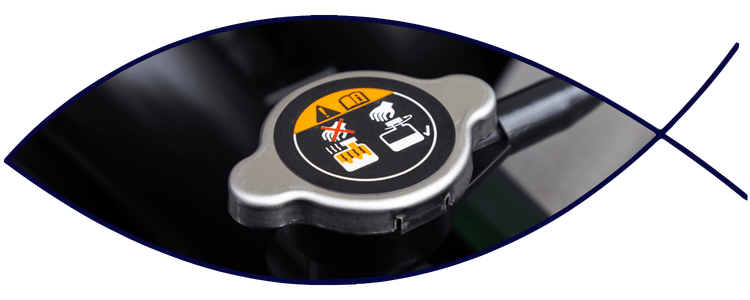 Blue car-shaped keychains displayed on the front desk, with a BMW mug and a Christian fish symbol sign in the background.