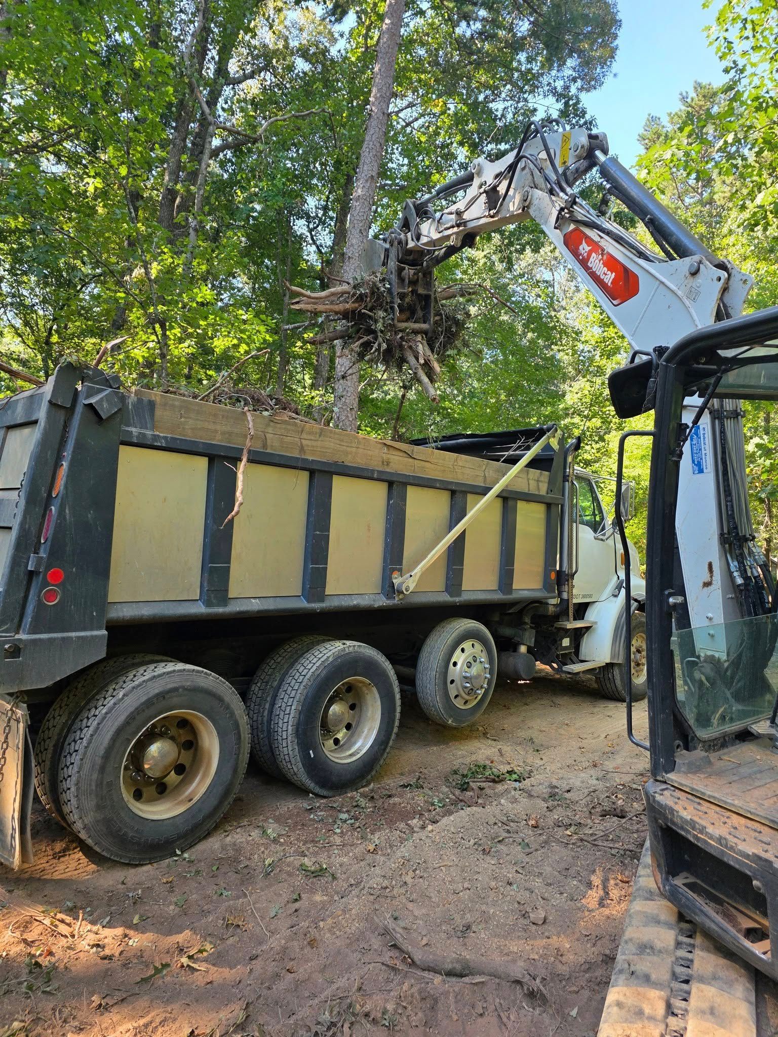 Bobcat excavator loading a tree into a dump truck in a wooded area.