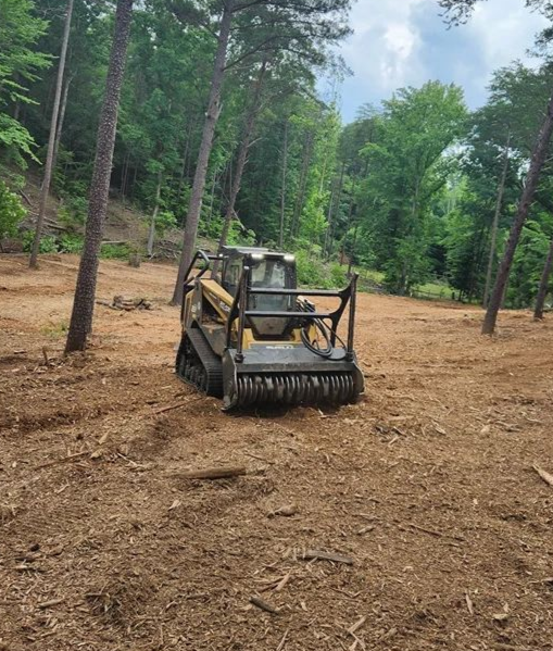 Skid steer with mulching head clears a wooded area of debris. Brown wood chips cover the ground.