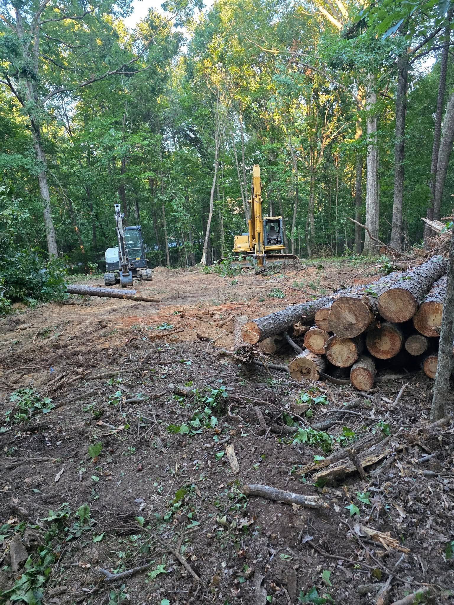 Clearing forest area. Yellow excavator and logging machine. Pile of logs in foreground.
