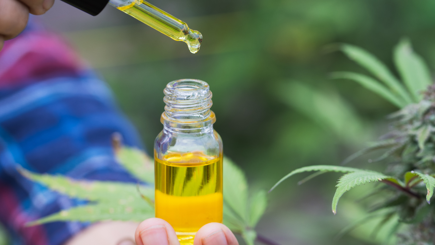 cannabis oil