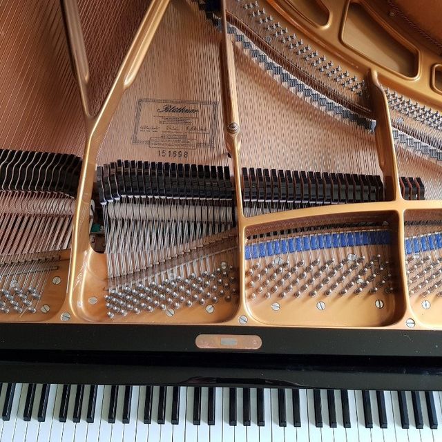 Paul brown online piano tuner