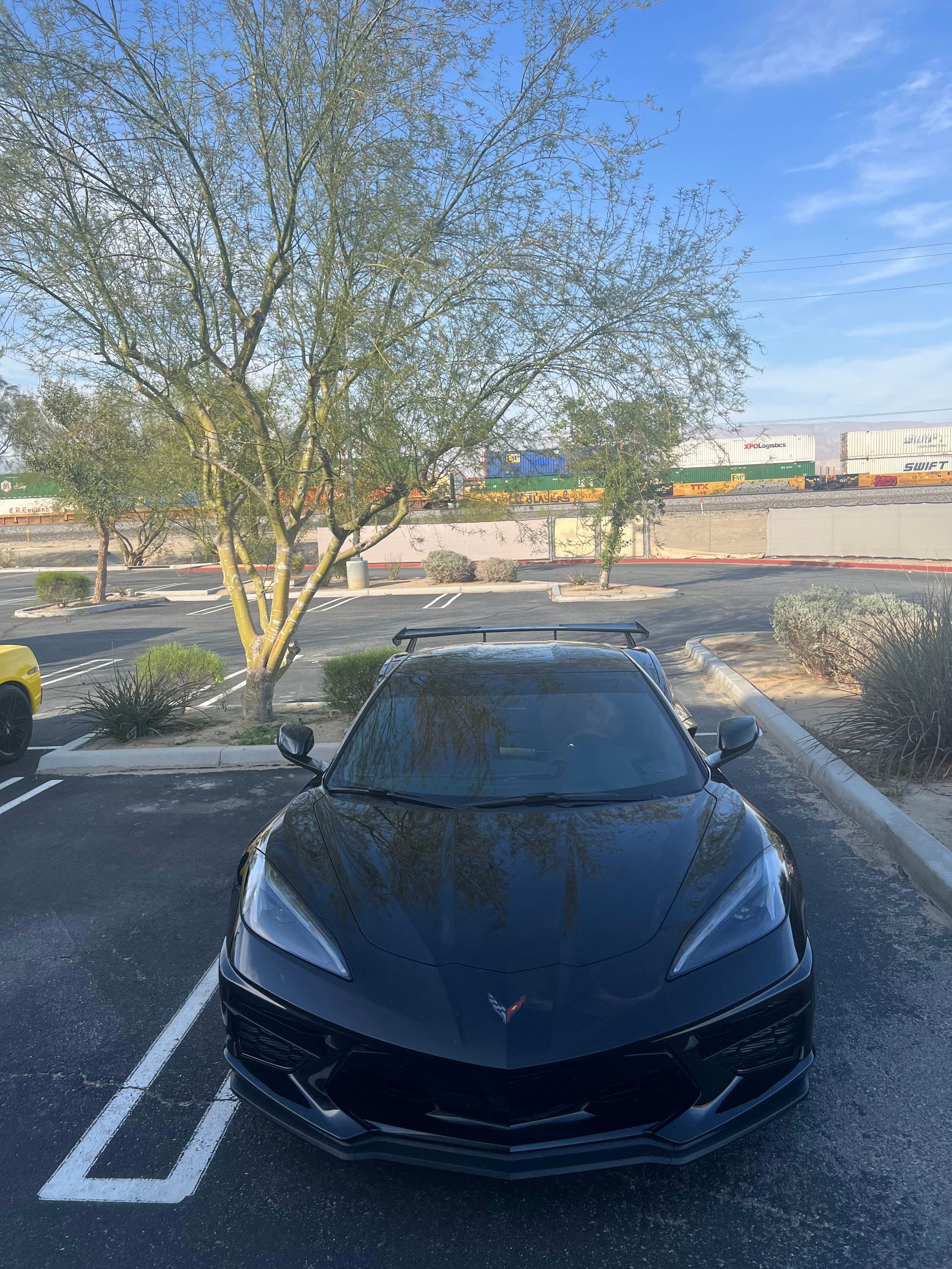 A black sports car is parked in a parking lot next to a tree.
