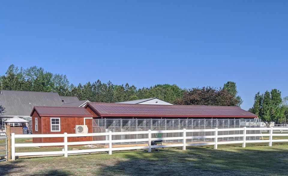 Red building with dog kennels, white fence, and blue sky.