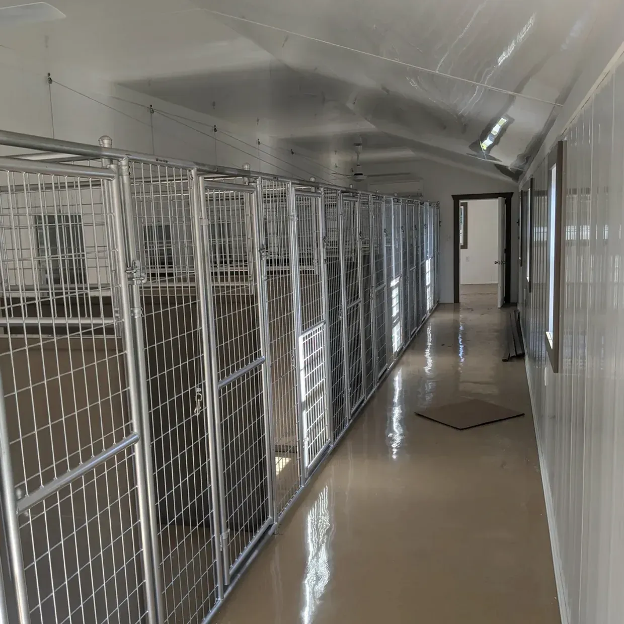 Interior of a kennel with metal cages lining a long hallway. Shiny floors and white walls.