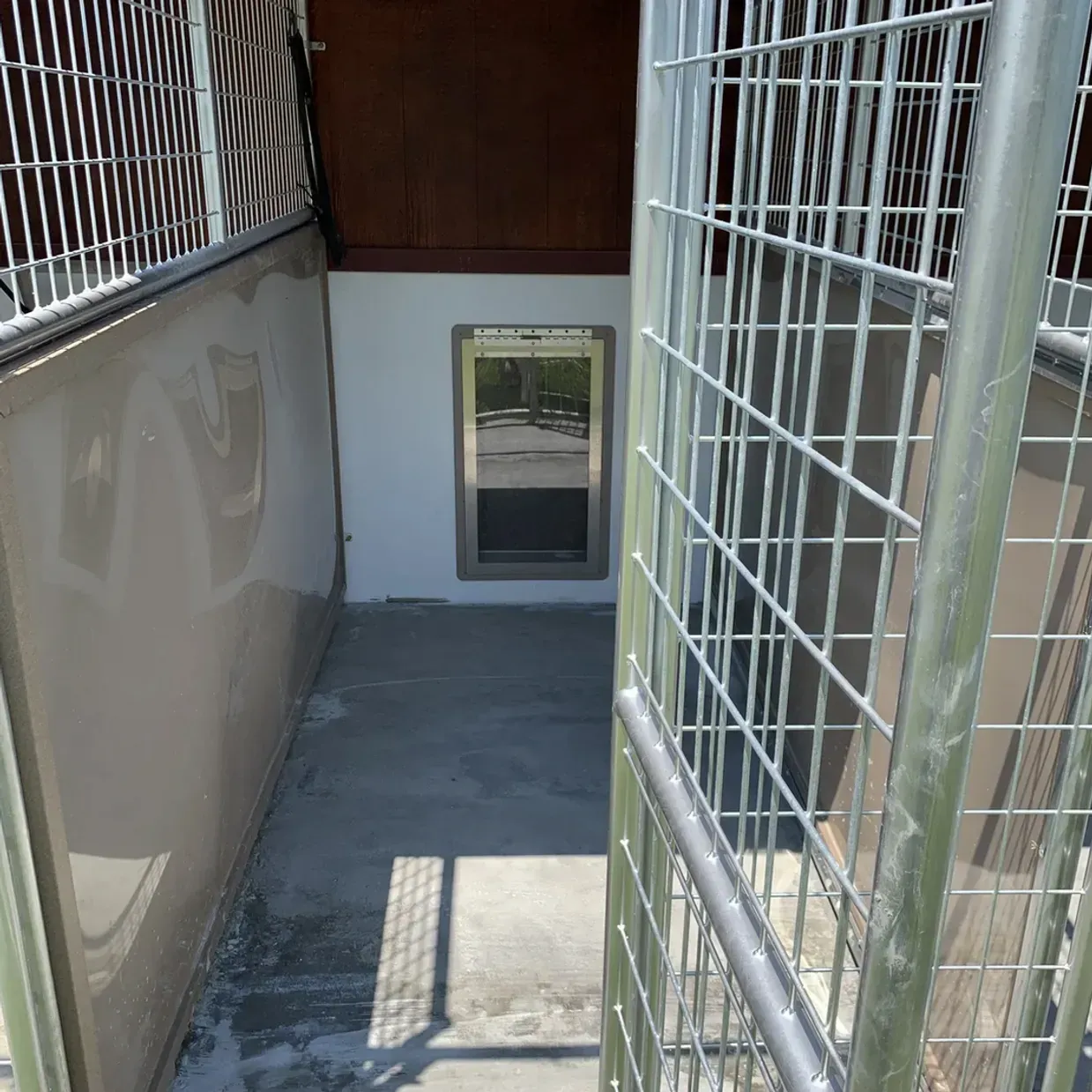 Metal dog kennel interior with gate open, beige walls, dog door, and concrete floor.