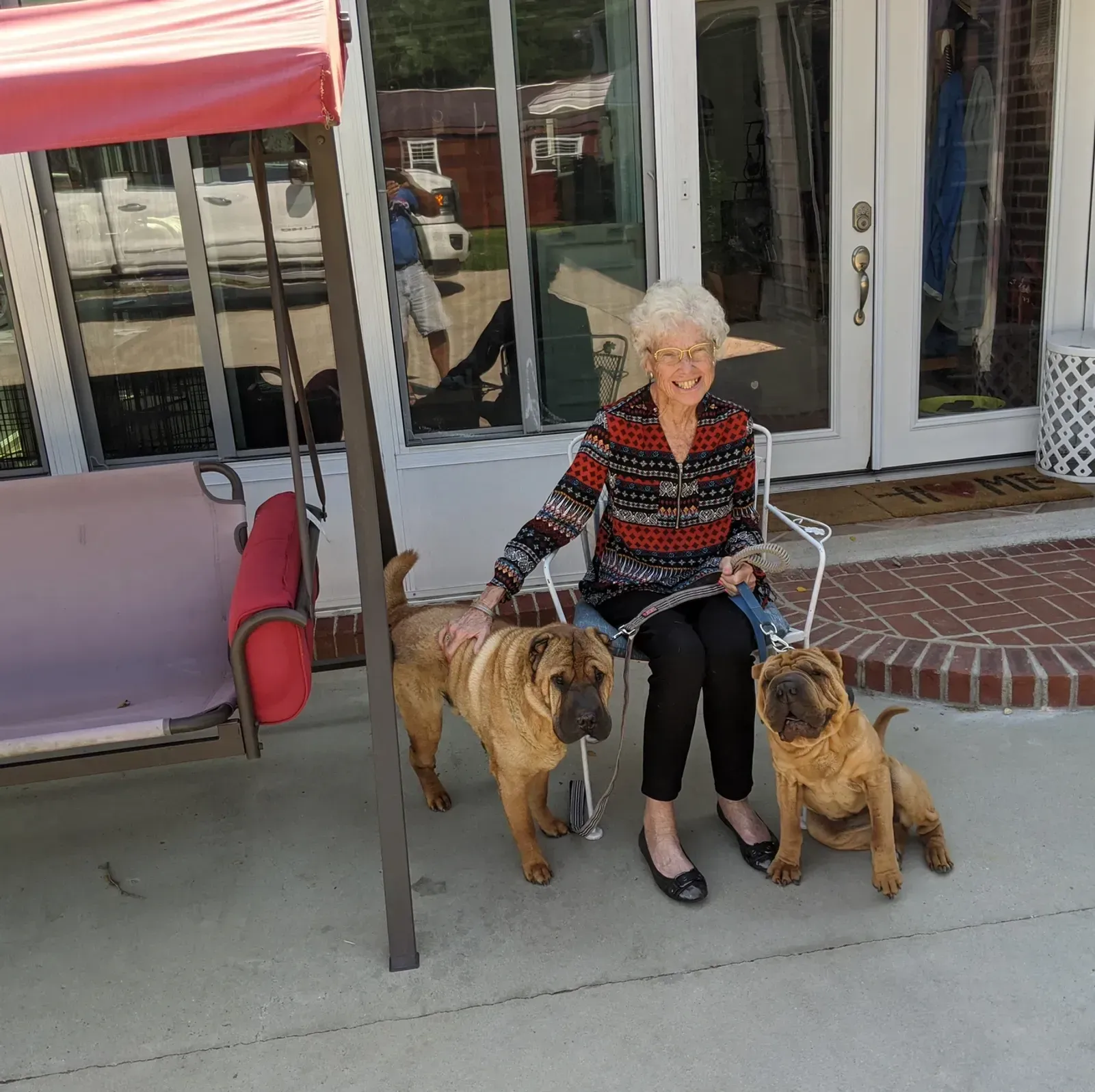 Woman sitting outside with two Shar Pei dogs.