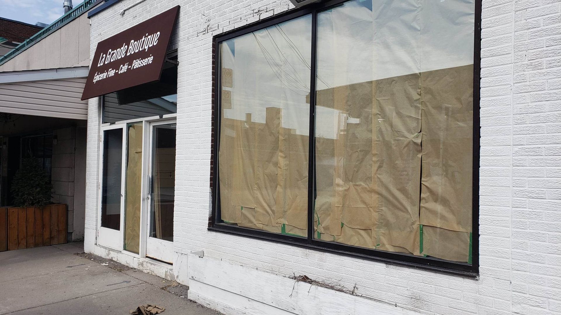 Un chien se tient devant un bâtiment avec une fenêtre cassée.