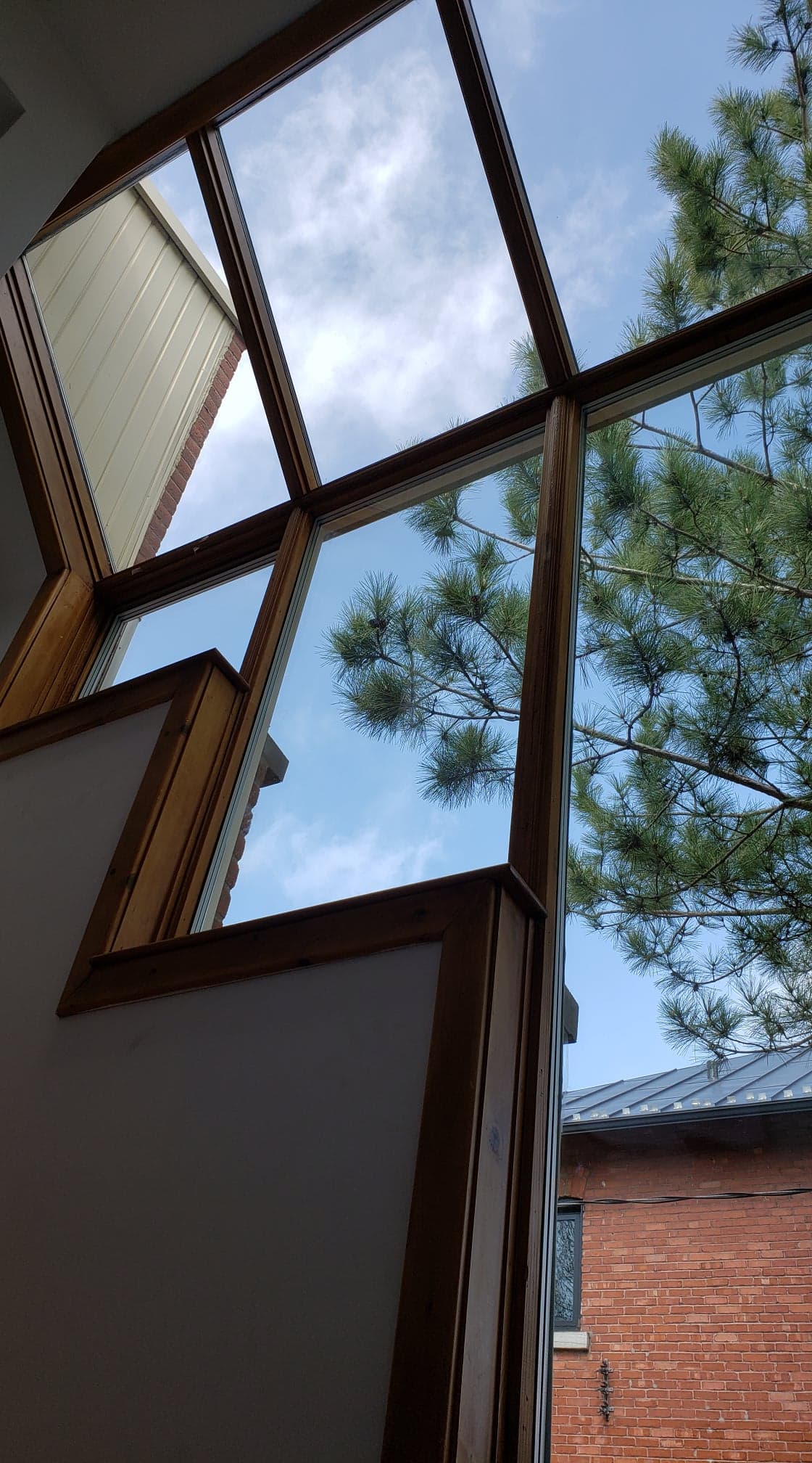 Regarder le ciel à travers une fenêtre avec un arbre en arrière-plan.