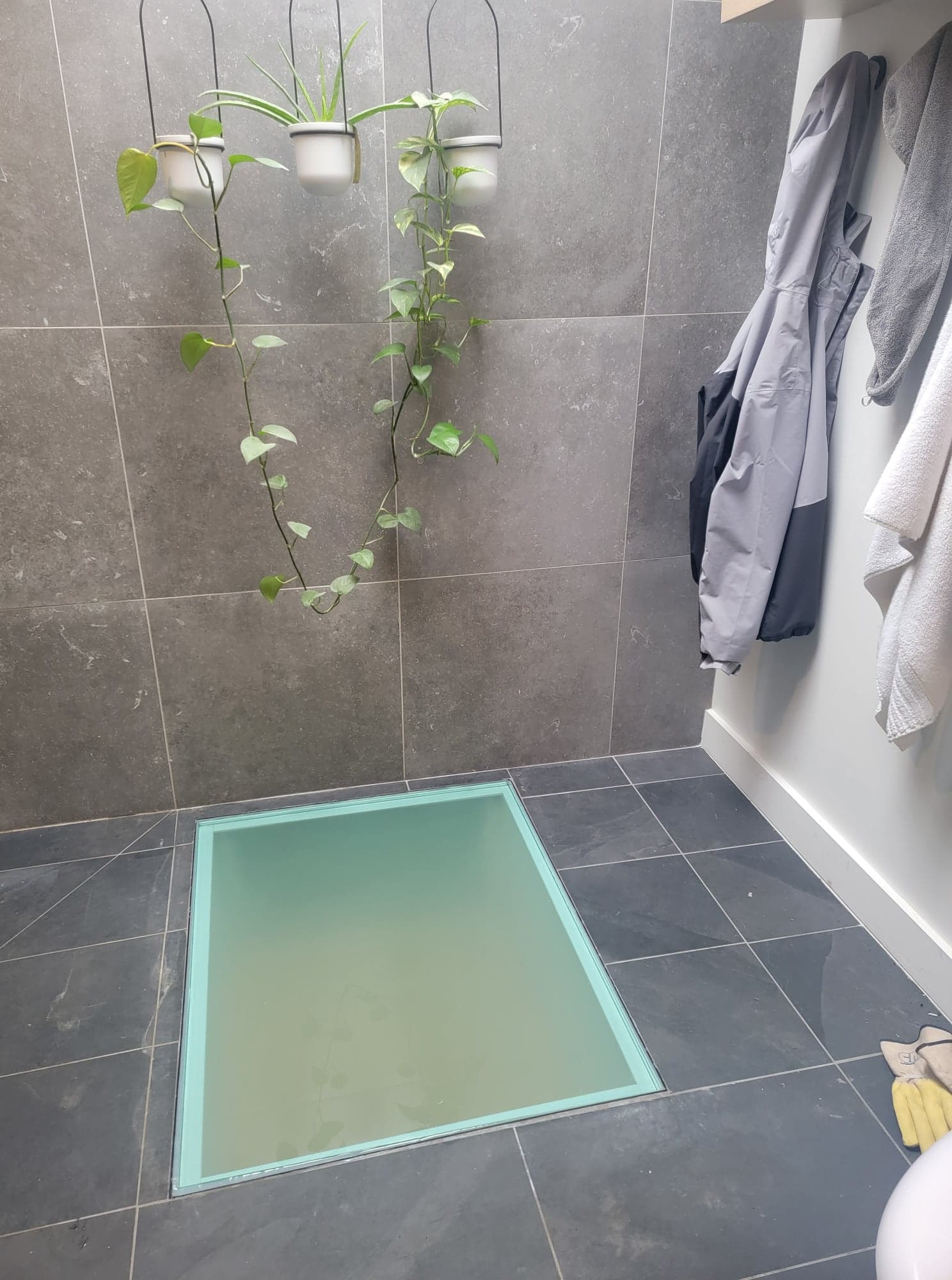A bathroom with a walk in shower and a plant hanging from the wall.