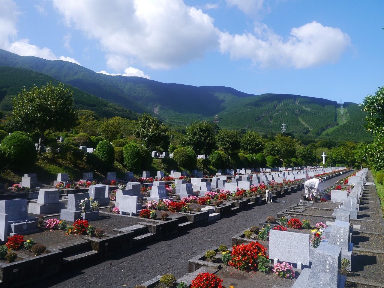 cremation services Allentown, PA