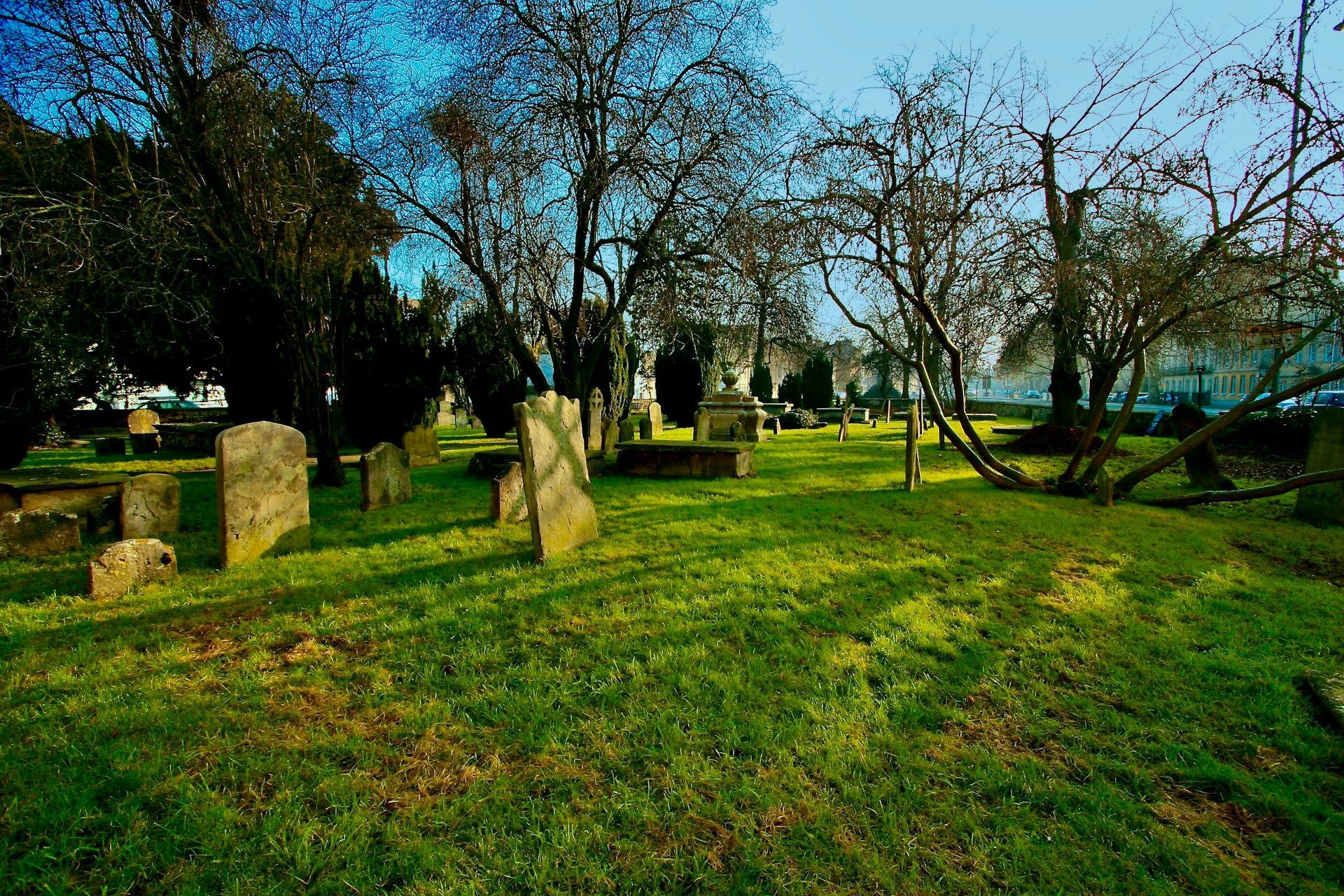 Old cemetery with weathered gravestones, green grass, and bare trees on a sunny day
