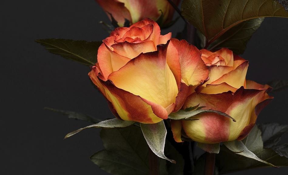 How Many People Should You Invite to the Funeral?