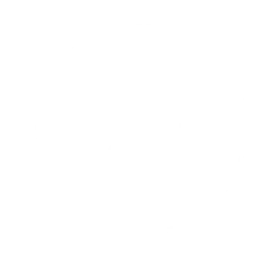 tampon 5 ans de garantie