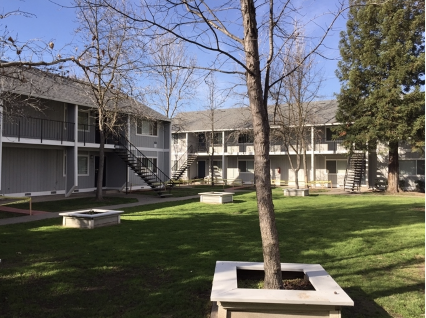 Windcreek Apartments exterior with tree