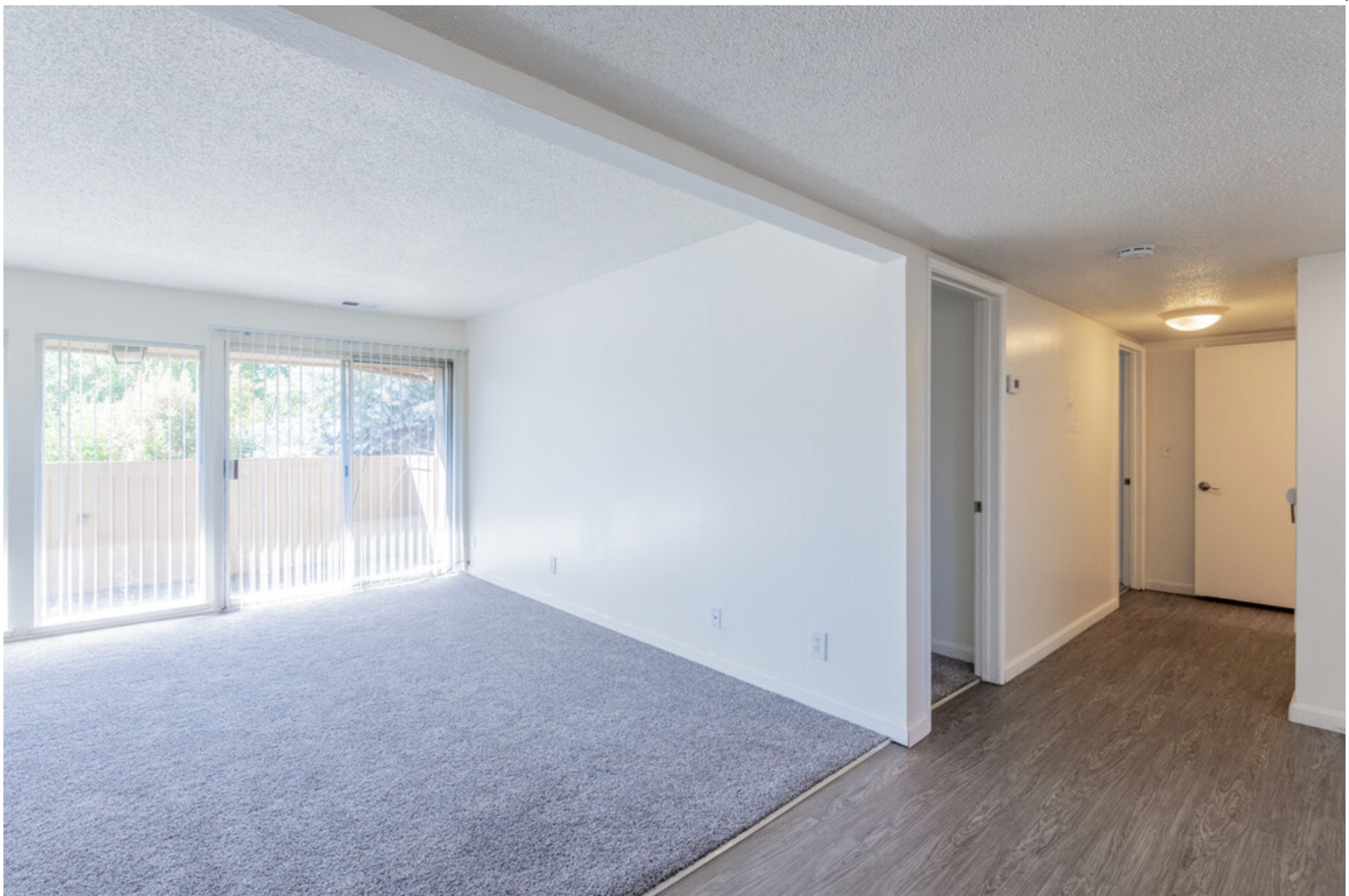 Acacia 2 bedroom carpet