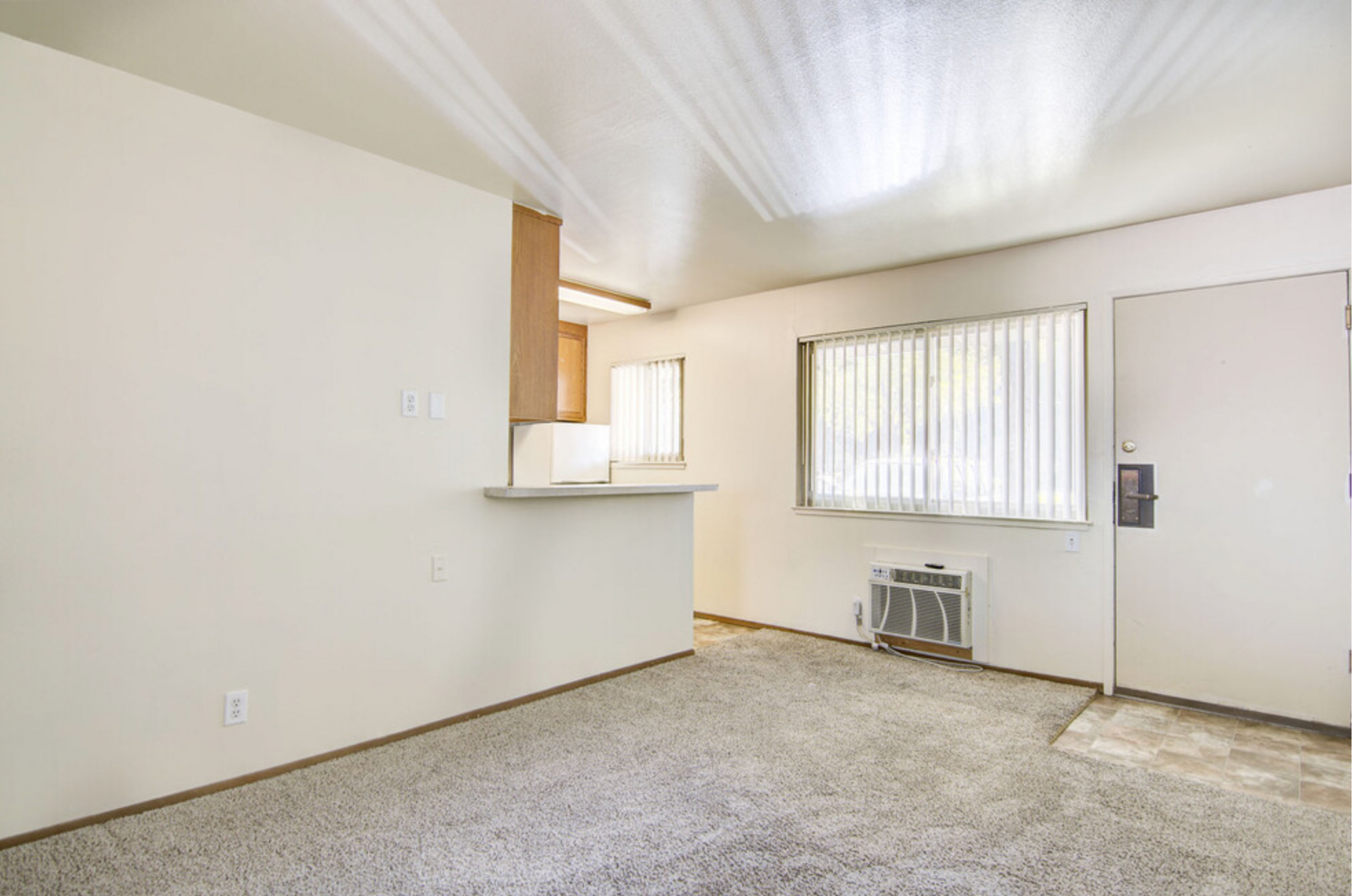 Cypress Greens Studio shot