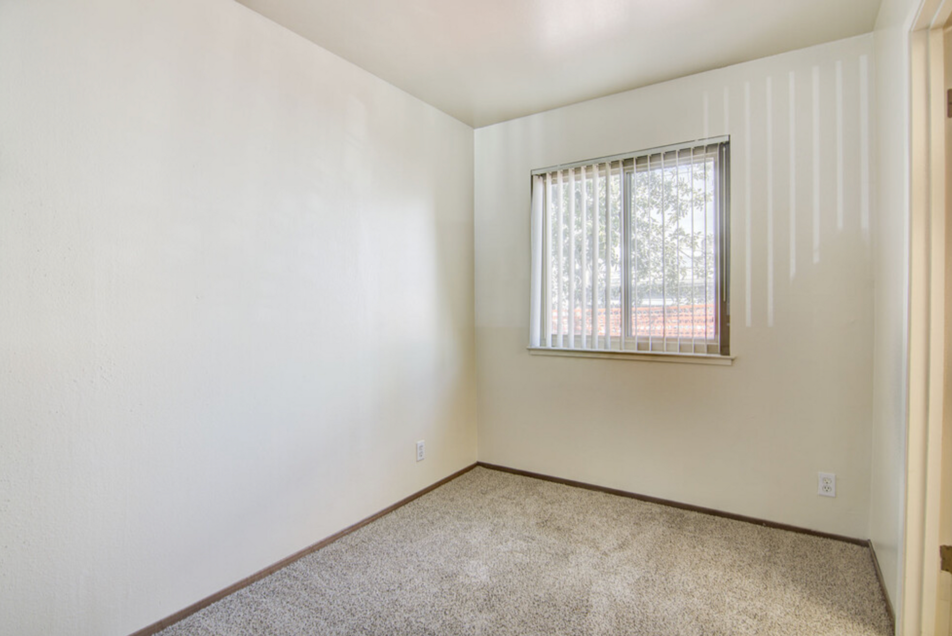 Cypress Greens Studio window