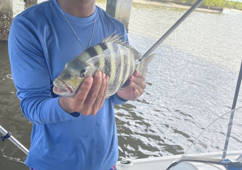 A man in a blue shirt is holding a fish in his hands.