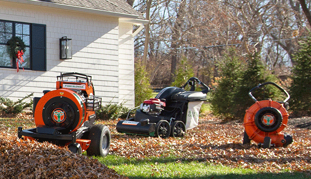 Central Coast Mowers Chainsaws